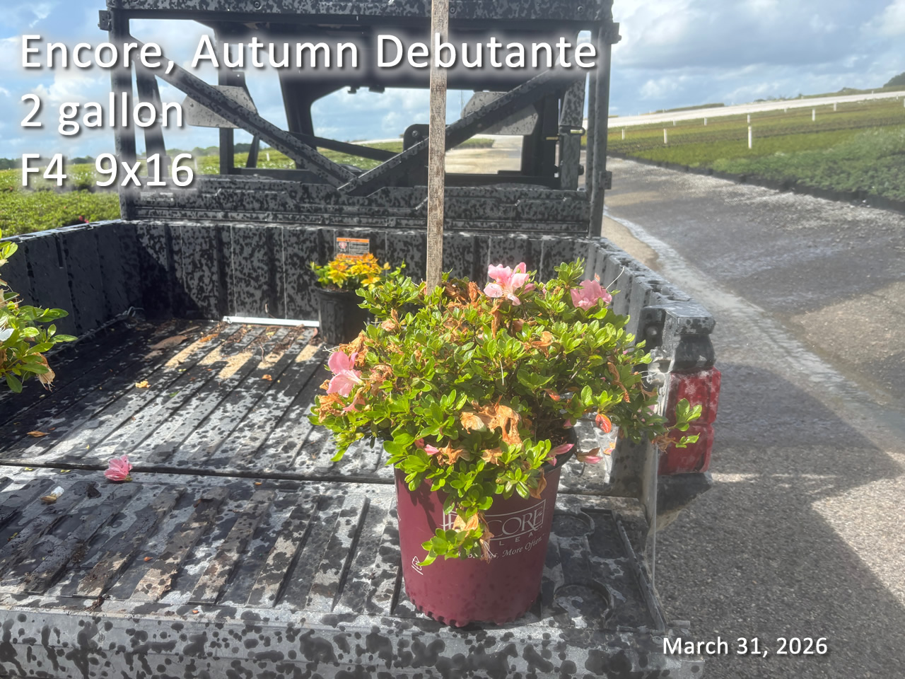 gallery/edeb2 f4 mar31.jpg